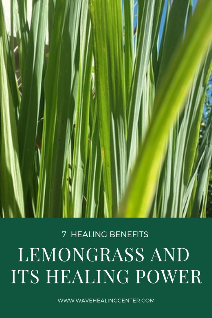 Lemongrass and its healing power