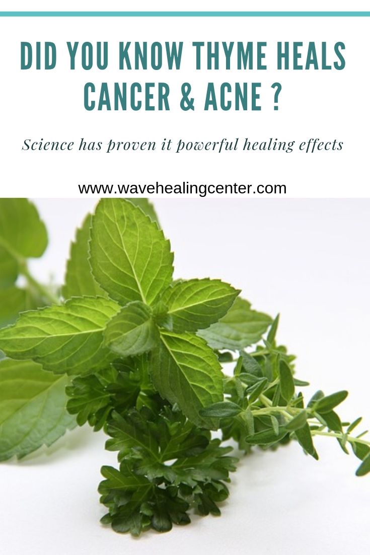 Did You know Thyme Quickly & Effectively Heals Cancer & Acne?