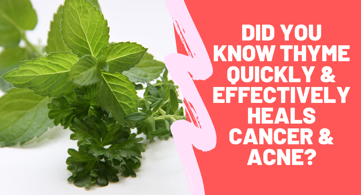 Did You know Thyme Quickly & Effectively Heals Breast Cancer & Acne?